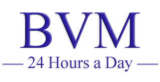 BVM Medical