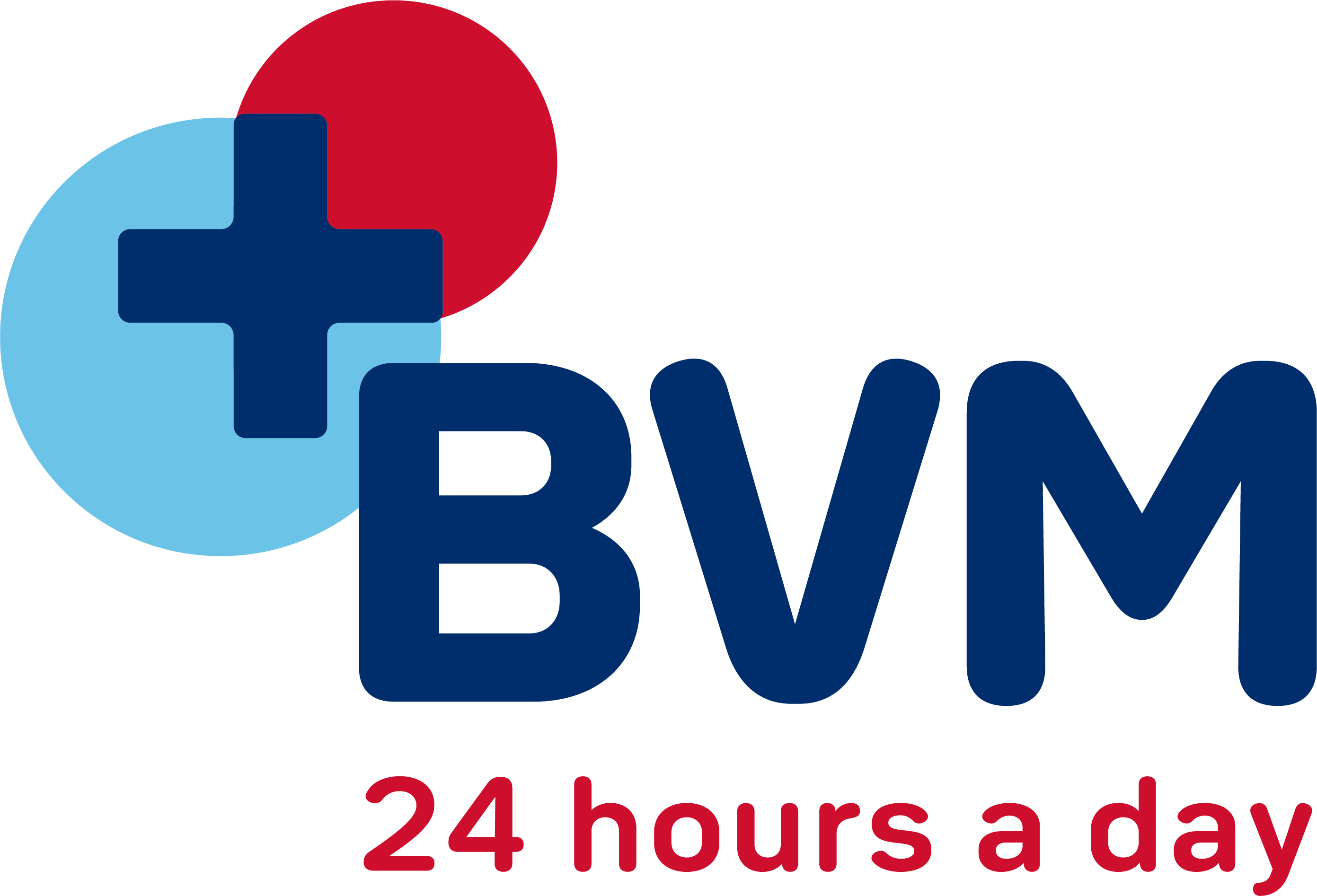 BVM Medical