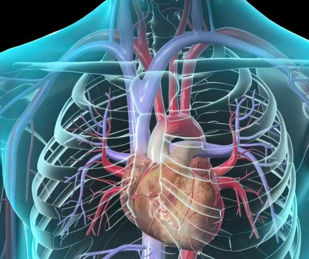 Cardiothoracic Surgery