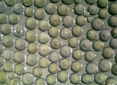 Embolisation