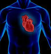 Cardiology