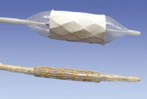 Mounted CP Stent™