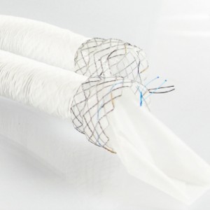 EGIS Oesophageal Stent