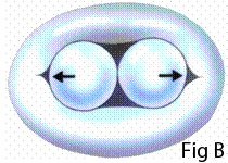 The Bonhoeffer MULTI-TRACK™ System