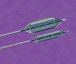 PTS-X™