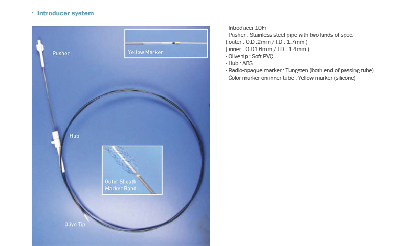 EGIS Colorectal Stent