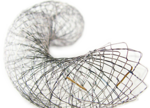 thumb-300×216-1