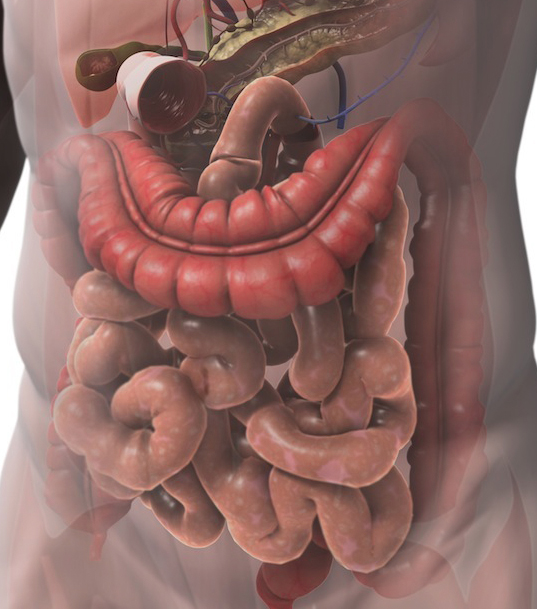 Gastrointestinal